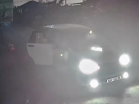 Camera an ninh bắt trọn khoảnh khắc đối tượng đi ô tô nhanh tay trộm chó ở Tây Ninh