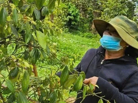 5 hiệp hội ngành hàng tỉ đô kiến nghị Quốc hội gỡ khó vụ thuế giá trị gia tăng