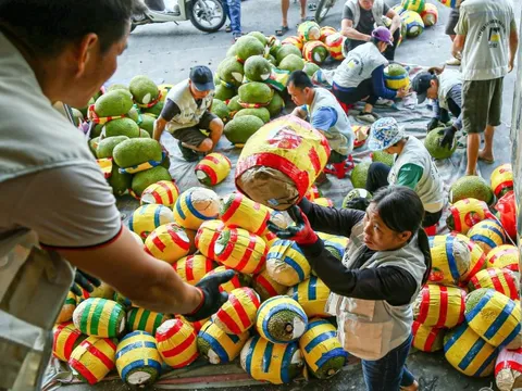 Ký nghị định thư xuất khẩu mít tươi sang Trung Quốc