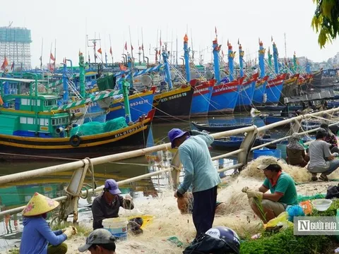 Bão số 15 diễn biến khó lường, hàng trăm tàu cá khẩn cấp vào bờ trú bão ở Phan Thiết