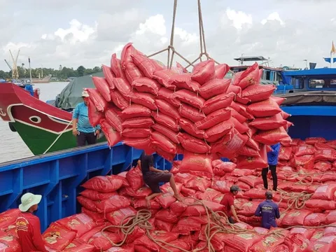 Đặt trái tim nơi ruộng đồng