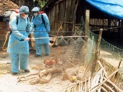 Siết chặt biện pháp phòng dịch, không để mầm bệnh lây lan, bùng phát