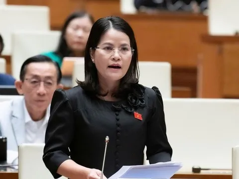 Lo ngại bất bình đẳng cơ hội giáo dục ngay trong lòng đô thị