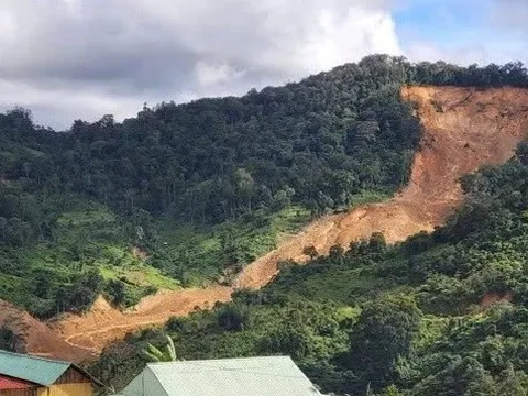 Sau sạt lở bất thường giữa trời nắng, Đà Nẵng sẽ mời nhà khoa học đến khảo sát
