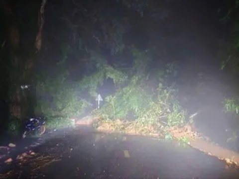 Đèo Gia Bắc ở Lâm Đồng sạt lở nghiêm trọng, 20 ô tô mắc kẹt