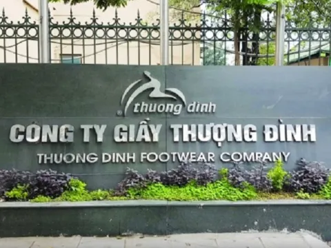 Ban lãnh đạo Giày Thượng Đình giải trình khi cổ phiếu 12 phiên kịch trần