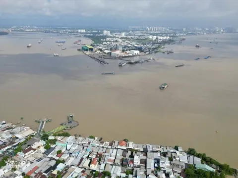 Chi tiết thiết kế cầu Cần Giờ sắp phá thế độc đạo phà Bình Khánh