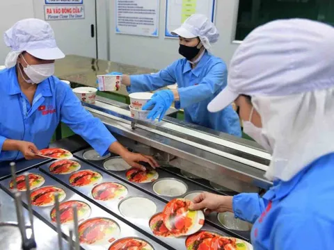 Đề xuất chuyển 300 ha đất vàng Khu chế xuất Tân Thuận thành Khu công nghệ cao