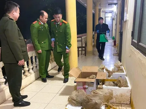 Cứu hộ 12 con vật quý hiếm được công an phát hiện trên ô tô 7 chỗ