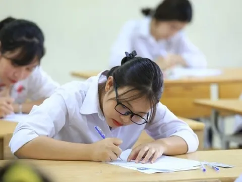 Hơn 6.700 em dự thi chọn học sinh giỏi quốc gia năm học 2025-2026