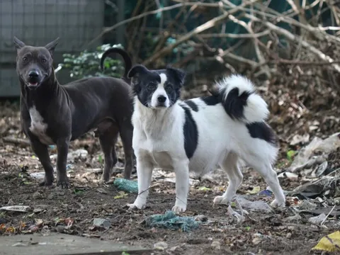 Hãy hành động ngay