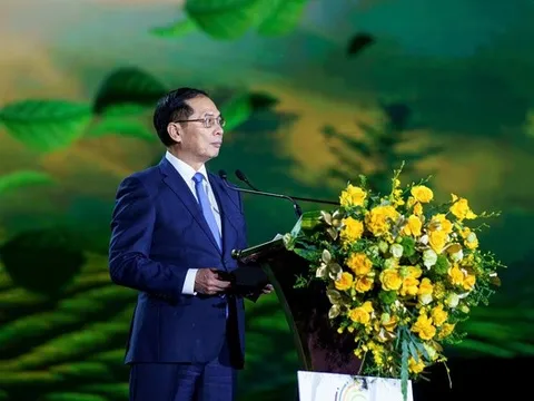 Phó Thủ tướng Bùi Thanh Sơn tham dự khai mạc Lễ hội Trà quốc tế 2025