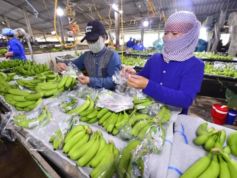 Tây Ninh là điểm đến mới của ngành chế biến sâu, thực phẩm chất lượng cao