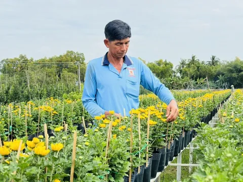 Dự kiến giá hoa Tết ở làng hoa Sa Đéc sẽ tăng do chi phí chăm sóc cao