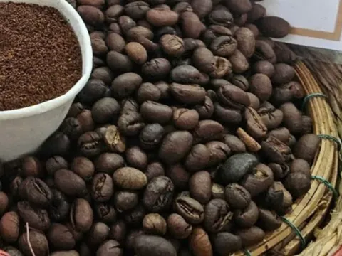 Giá cà phê bất ngờ tăng nhưng nông dân vẫn lo, vì sao?