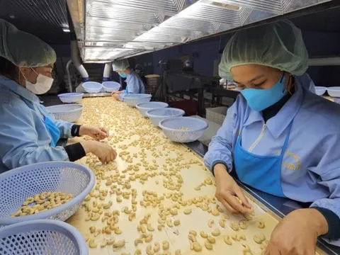 Người lớn tuổi cần bao nhiêu chất đạm mỗi ngày?