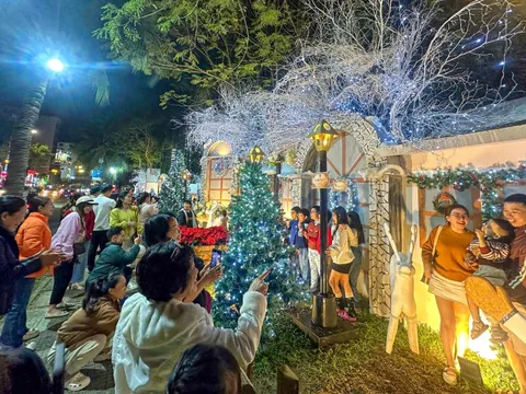 Người dân Đà Nẵng chen chân săn ảnh, đón Noel sớm