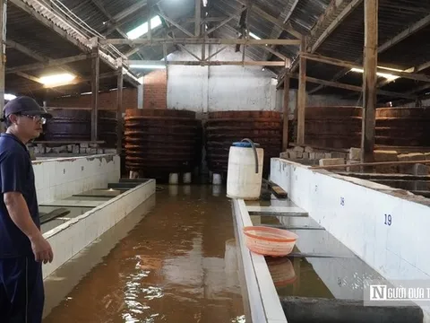 Mưa lũ làm "gián đoạn" chuỗi sản xuất, làng nghề nước mắm Lâm Đồng gấp rút phục hồi