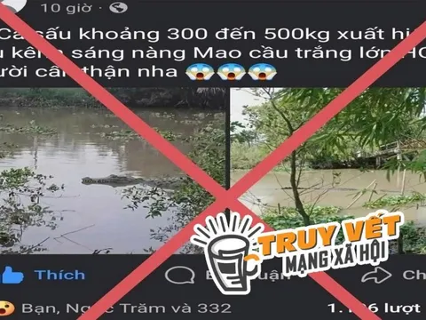 Bác bỏ thông tin lan truyền "cá sấu nặng khoảng 200-500 kg xuất hiện trên sông ở TP Cần Thơ"