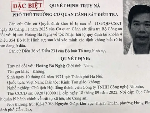 Bộ Công an truy nã đặc biệt Hoàng Bá Nghị, Chủ tịch Công ty NhoNho