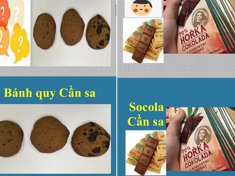 Cảnh giác với các loại ma tuý núp bóng đồ uống, thực phẩm