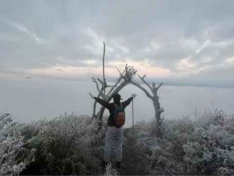 Dự báo thời tiết 13/12: Miền Bắc sắp đón không khí lạnh rất mạnh, nơi nào xuất hiện băng giá?