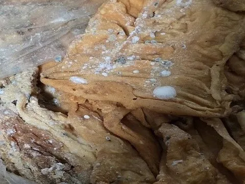 Phát hiện gần 2 tấn lòng lợn nấm mốc, không rõ nguồn gốc