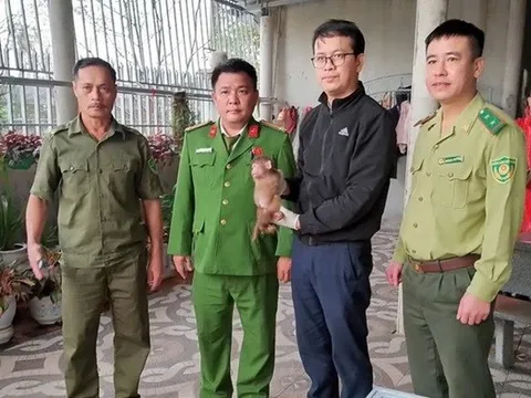 Phát hiện hai cá thể khỉ quý hiếm đi lạc, người dân chủ động giao nộp