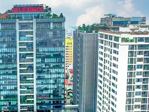 Hậu thương vụ nghìn tỉ của Geleximco, cổ phiếu Viettronics Tân Bình giảm sàn liên tục