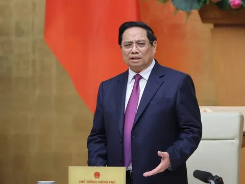 Thủ tướng yêu cầu xử lý dứt điểm vụ lô hàng cá cờ kiếm vi phạm khuyến nghị của EC