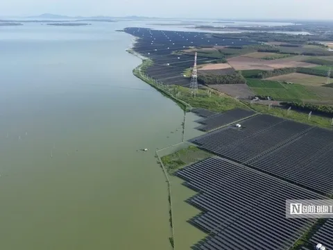Hơn 1,3 triệu tấm pin tạo nên “rừng điện mặt trời” giữa hồ Dầu Tiếng
