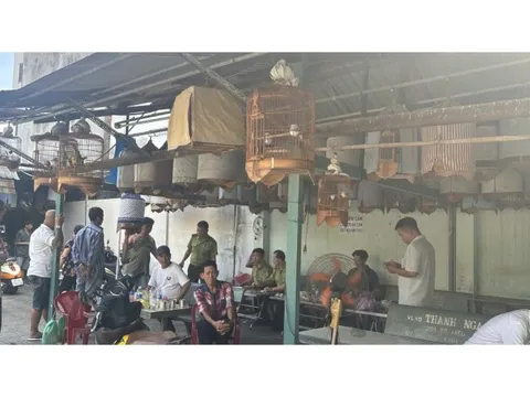 Nỗi lòng người nuôi chim cảnh