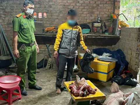 Phát hiện người đàn ông mua lợn chết về mổ lấy thịt đem bán ra thị trường