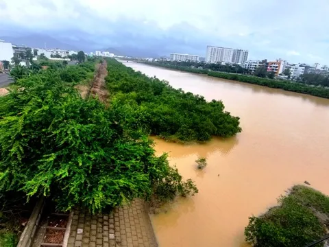 Dự án thoát lũ tây Nha Trang giữ lại cây mọc trái thiết kế, chưa được nghiệm thu