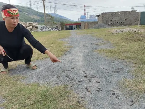 Lý giải hiện tượng kỳ lạ vừa xuất hiện ở Quảng Trị khiến người dân xôn xao