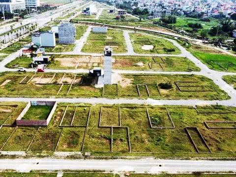 Tin tức sáng 21-12: Quy định mới về bảng giá đất; Côn Đảo sắp có tuyến buýt điện đầu tiên