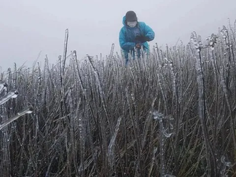 Miền Bắc sắp đón không khí lạnh "lạ thường", dự báo ngày rét đậm nhất 2025