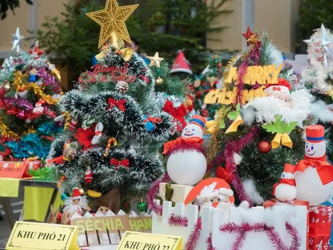Phường Nhiêu Lộc "lên đèn" đón Giáng sinh bằng hội thi trang trí cây thông