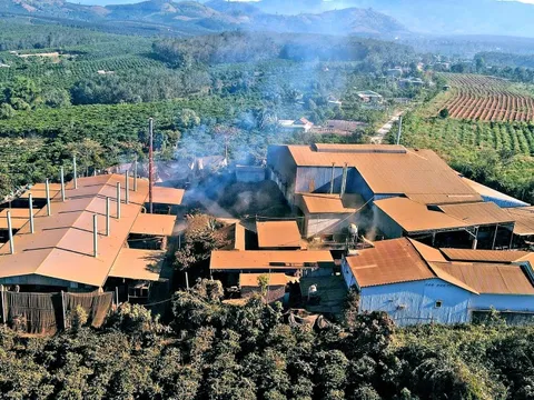 Dân 'ngộp thở' vì lò sấy cà phê trái phép ngay khu dân cư