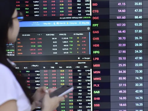 Nhà đầu tư bán tháo cổ phiếu liên quan Shark Hưng?