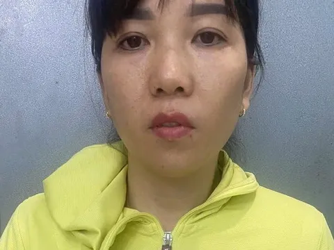 Bắt người phụ nữ lập công ty để xuất khống hóa đơn 90 tỷ đồng