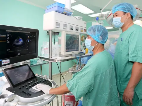 4 cuộc đời hồi sinh nhờ ghép tạng và ghép tủy