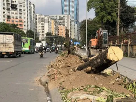 Hà Nội di dời loạt cây xanh, xén vỉa hè để mở rộng các nút giao thông