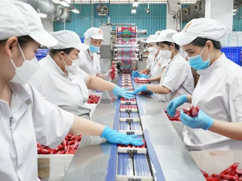 VISSAN chi hơn 530 tỉ đồng dự trữ hàng Tết, tung loạt sản phẩm mới