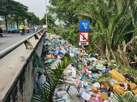 Quăng rác thành đống dưới chân cầu ở TP.HCM, UBND xã sẽ trích xuất camera phạt nguội