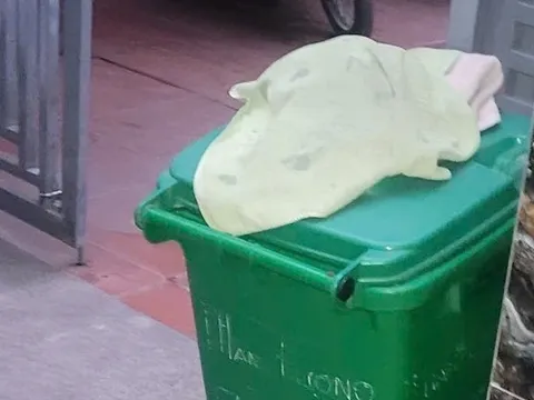 Phát hiện trẻ sơ sinh tử vong trong thùng rác trước cổng nhà