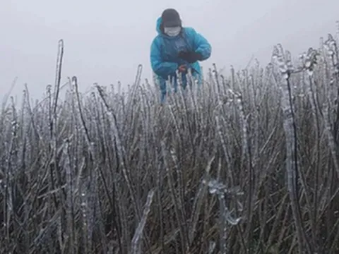 Đón không khí lạnh "lạ thường" dồn dập, có nơi dưới 6 độ C, dự báo ngày rét đậm nhất 2025