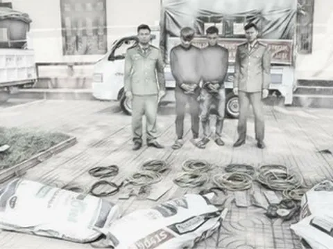 Bắt 2 thanh niên cắt trộm dây cáp chống sét của 150 trạm thu phát sóng