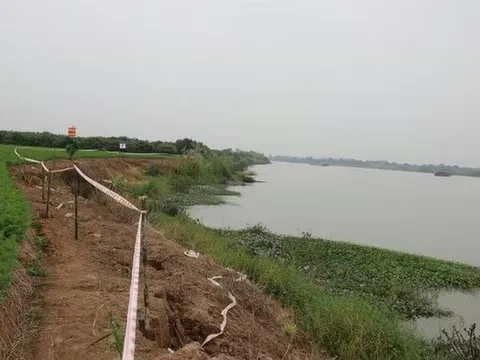 Vụ xử lý sự cố sạt lở kè Nguyên Hòa, đê tả sông Luộc: Khởi tố thêm 4 bị can