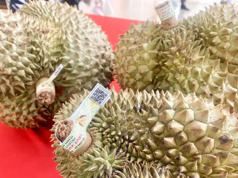 Ra mắt hệ thống truy xuất nguồn gốc nông sản Việt Nam